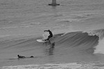 DSC_0478
