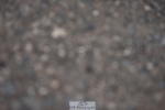 240623A-174910-20245
