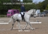 BPP_5641