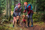 Glentress-2411
