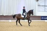 SBM_008029