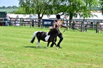 SBM_03502