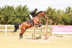 SBM_006175