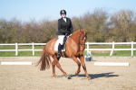 SBM_003373