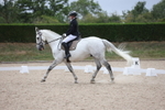 Class 5 - Novice 2 portfolio