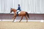 SBM_002372