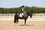 SBM_004931