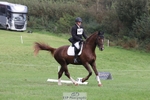 447-STALLONE-Andrew.Winterton-DR portfolio