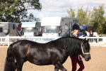 SBM_14021