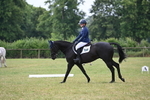 WJ6_5763