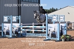 BPP_1137