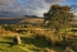 Corn Du and Pen Y Fan