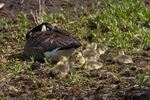 20100501-WE 041