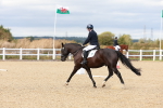 SBM_002183