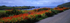 A Splash of Colour, Valentia Island