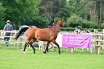 SBM_00011