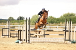SBM_026846