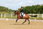 SBM_007733