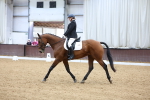 SBM_003304