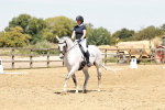SBM_002950