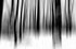 Tree - 0704 bw motion blur