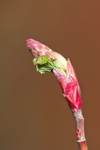 20120226-_MG_8857