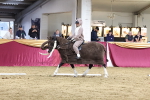 SBM_09788