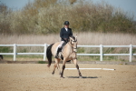SJ3_0996