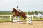 SBM_000367