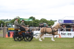 SBM_05631
