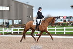 173-Emily.Ormerod-Compton.Violetta portfolio