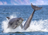 Chanory point, Bottle nose dolphins