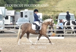 JAC_6095