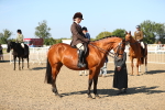 SBM_02272
