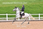 BPP_4053