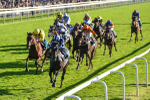 141023-Race 5-Certain Lad-1341