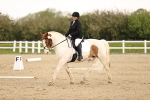 SBM_006533