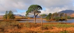 On the West Highland Way, Loch Tulla. EDC140