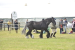 SBM_16077