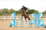 SBM_023874