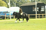 SBM_66626