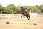 SBM_023198