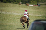 BVHT 140517  IXC -135