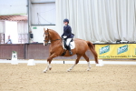 SBM_001965