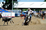 3HRodeo8-11-25_PRCASteer_04020_