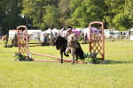SBM_11173