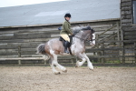 SBM_007966