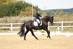 SBM_013148