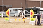 SBM_008676