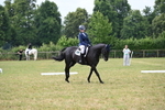 WJ6_5788
